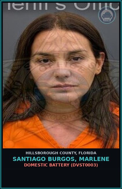 CCW arrest card for SANTIAGO BURGOS, MARLENE in Hillsborough County: DOMESTIC BATTERY (DVST0003)