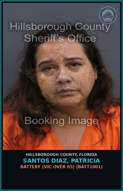 CCW arrest card for SANTOS DIAZ, PATRICIA in Hillsborough County: BATTERY (VICTIM OVER 65) (BATT1001)