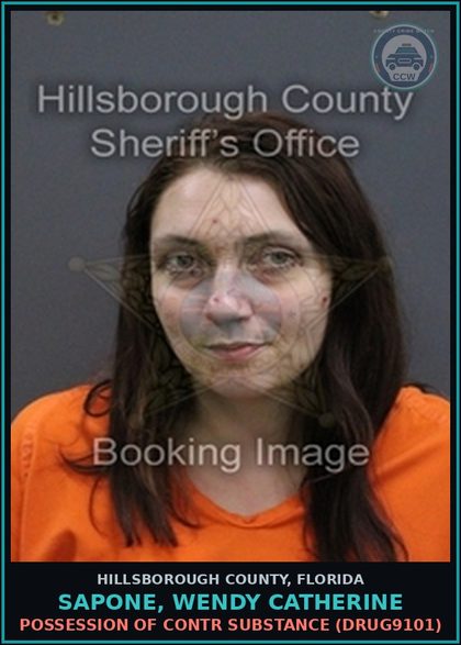 CCW arrest card for SAPONE, WENDY CATHERINE in Hillsborough County: POSSESSION OF contr substance (DRUG9101)
