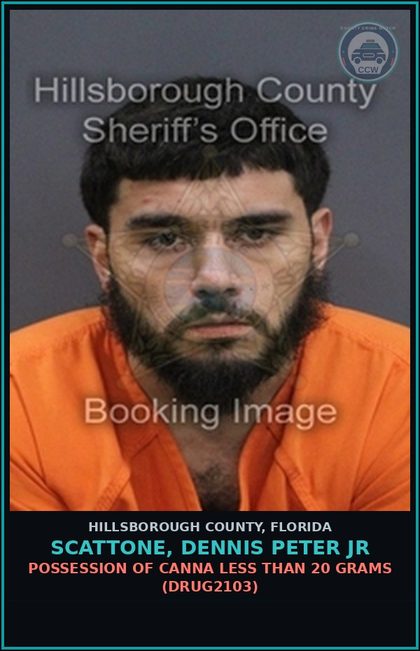 CCW arrest card for SCATTONE, DENNIS PETER JR in Hillsborough County: DRIVING UNDER THE INFLUENCE (TRAF1012)