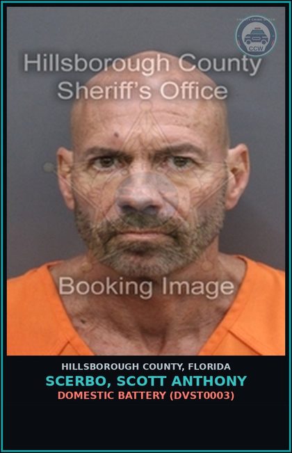 CCW arrest card for SCERBO, SCOTT ANTHONY in Hillsborough County: DOMESTIC BATTERY (DVST0003)