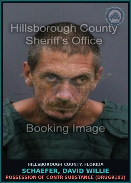 CCW arrest card for SCHAEFER, DAVID WILLIE in Hillsborough County: POSSESSION OF contr substance (DRUG9101)