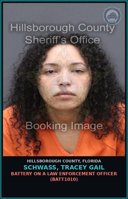 CCW arrest card for SCHWASS, TRACEY GAIL in Hillsborough County: TRESPASS IN OCCUPIED STRUCTURE OR CONVEYANCE (TRES2000)