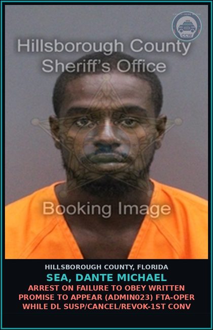 CCW arrest card for SEA, DANTE MICHAEL in Hillsborough County: ARREST ON FAILURE TO OBEY WRITTEN PROMISE TO APPEAR (ADMIN023) FTA-OPER WHILE DL SUSP/CANCEL/REVOK-1ST CONV