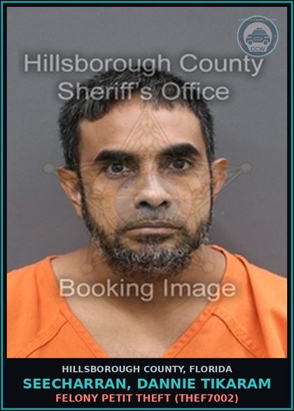 CCW arrest card for SEECHARRAN, DANNIE TIKARAM in Hillsborough County: FELONY PETIT THEFT (THEF7002)