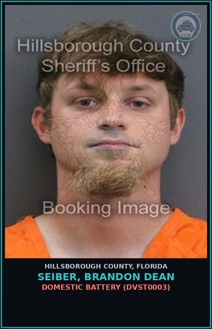 CCW arrest card for SEIBER, BRANDON DEAN in Hillsborough County: DOMESTIC BATTERY (DVST0003)