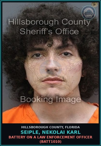 CCW arrest card for SEIPLE, NEKOLAI KARL in Hillsborough County: RESISTING OFFICER WITH VIOLENCE (COPS2005)