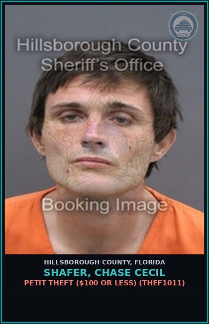 CCW arrest card for SHAFER, CHASE CECIL in Hillsborough County: PETIT THEFT ($100 OR LESS) (THEF1011)