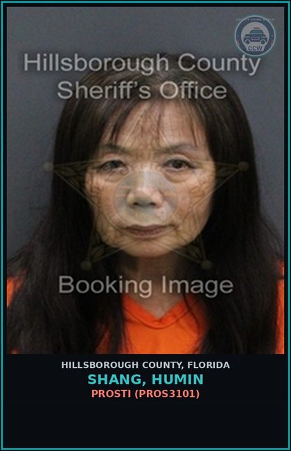 CCW arrest card for SHANG, HUMIN in Hillsborough County: Prosti (PROS3101)