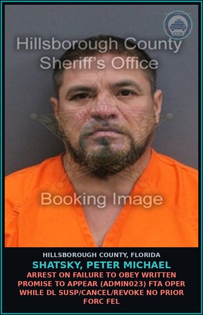CCW arrest card for SHATSKY, PETER MICHAEL in Hillsborough County: ARREST ON FAILURE TO OBEY WRITTEN PROMISE TO APPEAR (ADMIN023) FTA OPER WHILE DL SUSP/CANCEL/REVOKE NO PRIOR FORC FEL