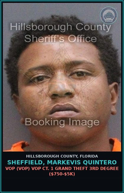 CCW arrest card for SHEFFIELD, MARKEVIS QUINTERO in Hillsborough County: VOP (VOP) VOP CT. 1 GRAND THEFT 3RD DEGREE ($750-$5K)