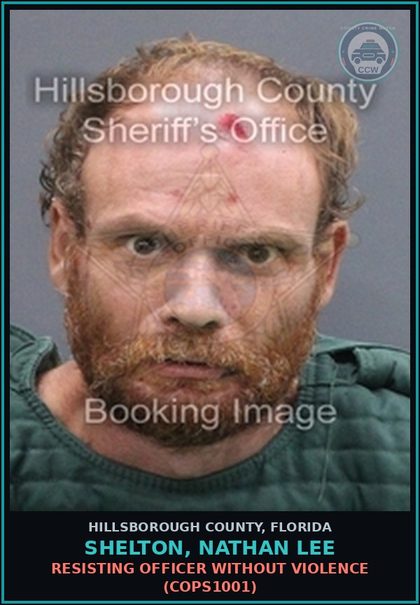 CCW arrest card for SHELTON, NATHAN LEE in Hillsborough County: CRIMINAL MISCHIEF $1,000 OR MORE (CRMS3000)