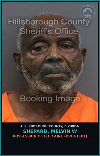 CCW arrest card for SHEPARD, MELVIN W in Hillsborough County: POSSESSION OF COCAINE (DRUG1101)