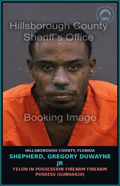 CCW arrest card for SHEPHERD, GREGORY DUWAYNE JR in Hillsborough County: FELON IN POSSESSION FIREARM FIREARM POSSESS (GUNS0420)