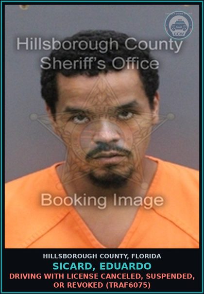 CCW arrest card for SICARD, EDUARDO in Hillsborough County: DRIVING WITH LICENSE CANCELED, SUSPENDED, OR REVOKED (TRAF6075)