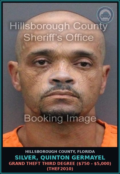 CCW arrest card for SILVER, QUINTON GERMAYEL in Hillsborough County: POSSESSION OF DRUG PARAPHERNALIA (DRUG8102)