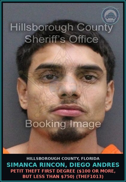 CCW arrest card for SIMANCA RINCON, DIEGO ANDRES in Hillsborough County: PETIT THEFT FIRST DEGREE ($100 OR MORE, BUT LESS THAN $750) (THEF1013)