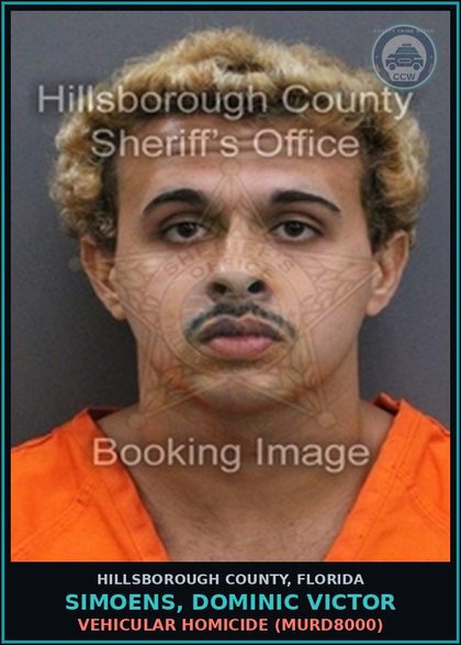 CCW arrest card for SIMOENS, DOMINIC VICTOR in Hillsborough County: VEHICULAR HOMICIDE (MURD8000)