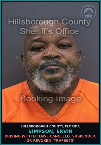 CCW arrest card for SIMPSON, ERVIN in Hillsborough County: DRIVING WITH LICENSE CANCELED, SUSPENDED, OR REVOKED (TRAF6075)
