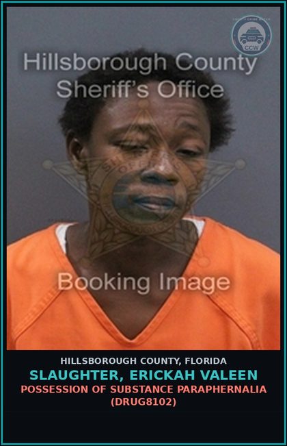 CCW arrest card for SLAUGHTER, ERICKAH VALEEN in Hillsborough County: POSSESSION OF DRUG PARAPHERNALIA (DRUG8102)