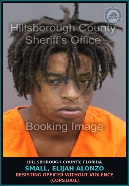 CCW arrest card for SMALL, ELIJAH ALONZO in Hillsborough County: RESISTING OFFICER WITHOUT VIOLENCE (COPS1001)