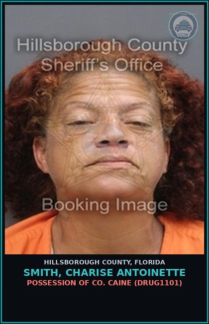 CCW arrest card for SMITH, CHARISE ANTOINETTE in Hillsborough County: POSSESSION OF COCAINE (DRUG1101)