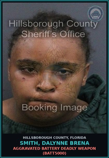 CCW arrest card for SMITH, DALYNNE BRENA in Hillsborough County: AGGRAVATED BATTERY DEADLY WEAPON (BATT5000)