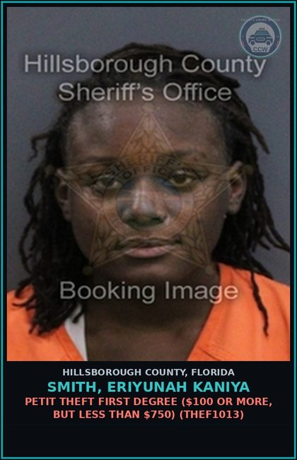 CCW arrest card for SMITH, ERIYUNAH KANIYA in Hillsborough County: PETIT THEFT FIRST DEGREE ($100 OR MORE, BUT LESS THAN $750) (THEF1013)
