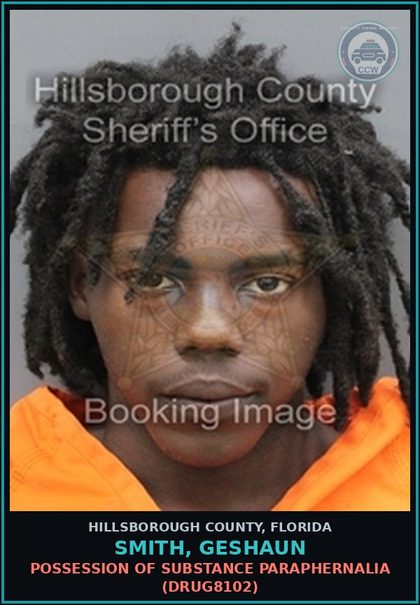 CCW arrest card for SMITH, GESHAUN in Hillsborough County: TAMPERING WITH PHYSICAL EVIDENCE (TAMP4005)
