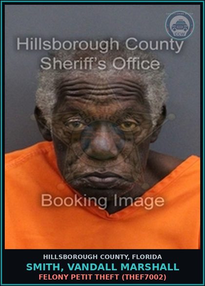 CCW arrest card for SMITH, VANDALL MARSHALL in Hillsborough County: FELONY PETIT THEFT (THEF7002)