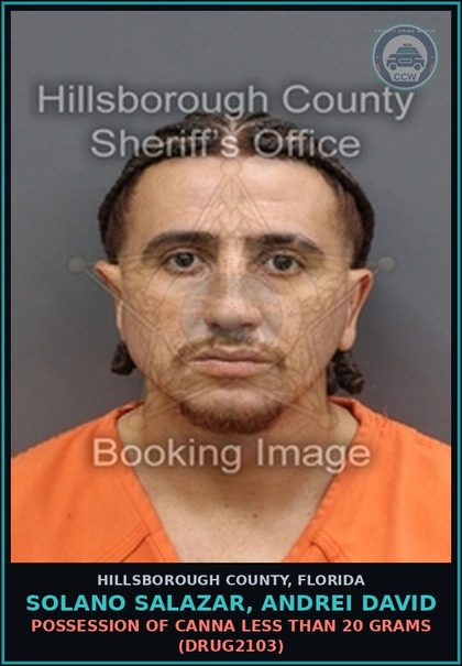 CCW arrest card for SOLANO SALAZAR, ANDREI DAVID in Hillsborough County: DRIVING WITH LICENSE CANCELED, SUSPENDED, OR REVOKED (TRAF6075)