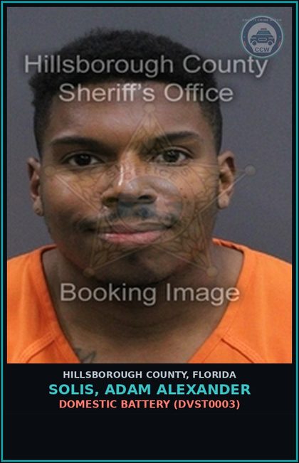 CCW arrest card for SOLIS, ADAM ALEXANDER in Hillsborough County: DOMESTIC BATTERY (DVST0003)