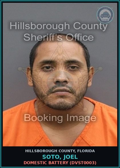 CCW arrest card for SOTO, JOEL in Hillsborough County: DOMESTIC BATTERY (DVST0003)