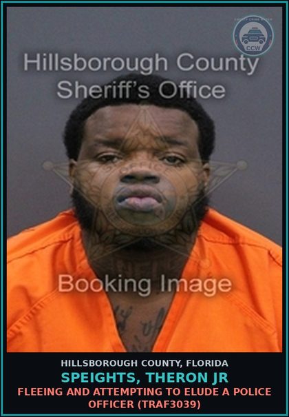 CCW arrest card for SPEIGHTS, THERON JR in Hillsborough County: FLEEING AND ATTEMPTING TO ELUDE A POLICE OFFICER (TRAF3039)