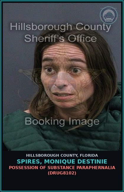 CCW arrest card for SPIRES, MONIQUE DESTINIE in Hillsborough County: TRESPASS IN OCCUPIED STRUCTURE OR CONVEYANCE (TRES2000)