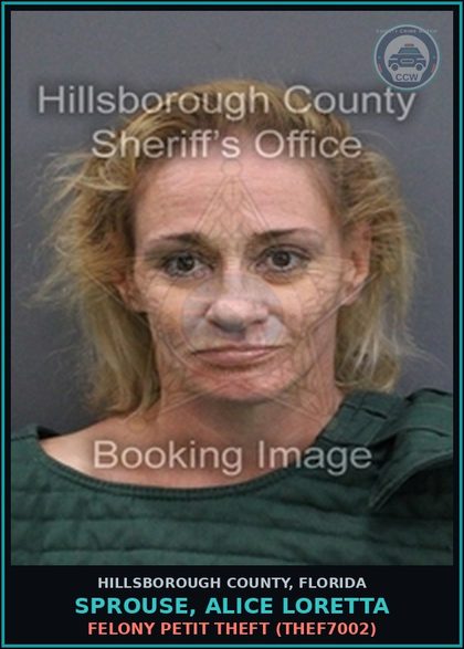 CCW arrest card for SPROUSE, ALICE LORETTA in Hillsborough County: FALSE NAME TO LAW ENFORCEMENT OFFICER (COPS2060)