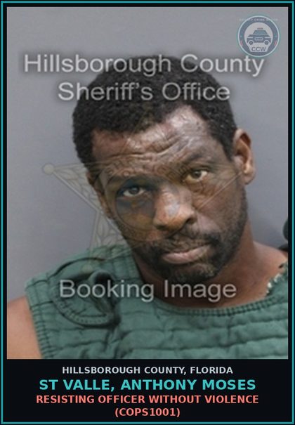 CCW arrest card for ST VALLE, ANTHONY MOSES in Hillsborough County: RESISTING OFFICER WITHOUT VIOLENCE (COPS1001)