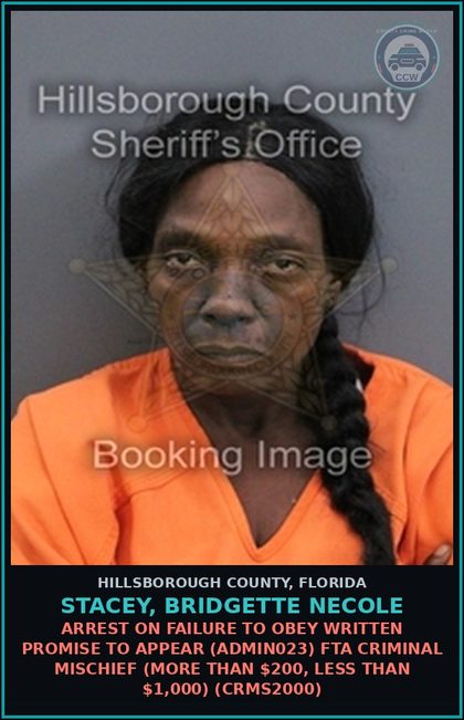 CCW arrest card for STACEY, BRIDGETTE NECOLE in Hillsborough County: ARREST ON FAILURE TO OBEY WRITTEN PROMISE TO APPEAR (ADMIN023) FTA CRIMINAL MISCHIEF (MORE THAN $200, LESS THAN $1,000) (CRMS2000)