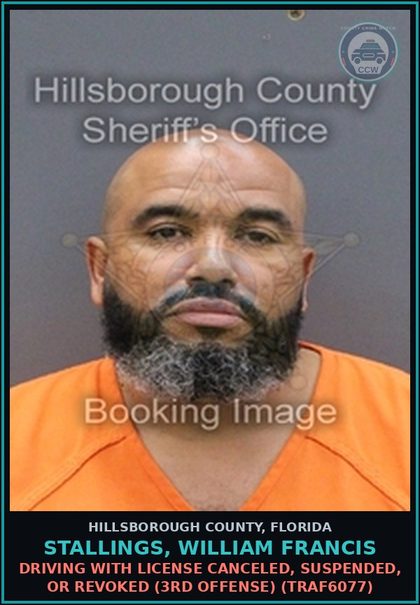 CCW arrest card for STALLINGS, WILLIAM FRANCIS in Hillsborough County: DRIVING WITH LICENSE CANCELED, SUSPENDED, OR REVOKED (3RD OFFENSE) (TRAF6077)