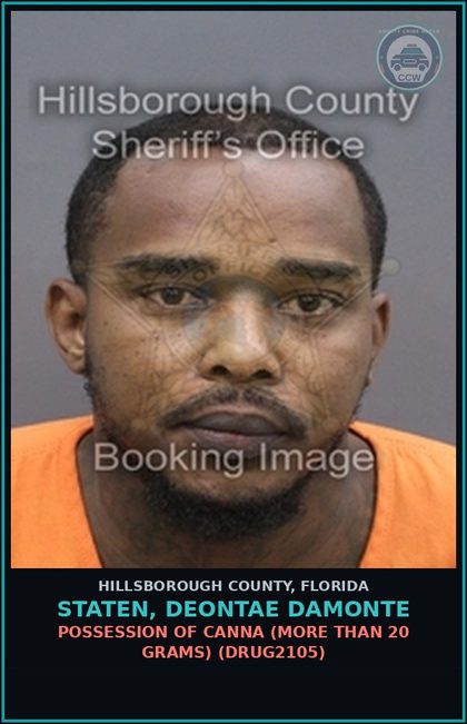 CCW arrest card for STATEN, DEONTAE DAMONTE in Hillsborough County: RESISTING OFFICER WITHOUT VIOLENCE (COPS1001)