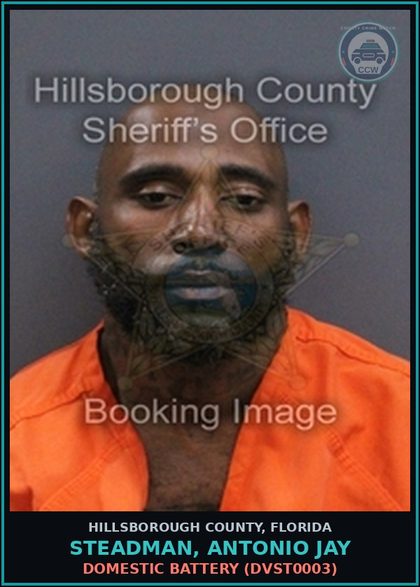 CCW arrest card for STEADMAN, ANTONIO JAY in Hillsborough County: DOMESTIC BATTERY (DVST0003)