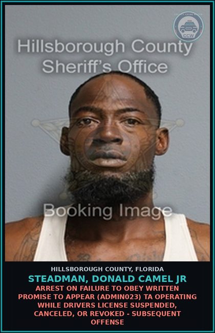 CCW arrest card for STEADMAN, DONALD CAMEL JR in Hillsborough County: ARREST ON FAILURE TO OBEY WRITTEN PROMISE TO APPEAR (ADMIN023) TA OPERATING WHILE DRIVERS LICENSE SUSPENDED, CANCELED, OR REVOKED - SUBSEQUENT OFFENSE