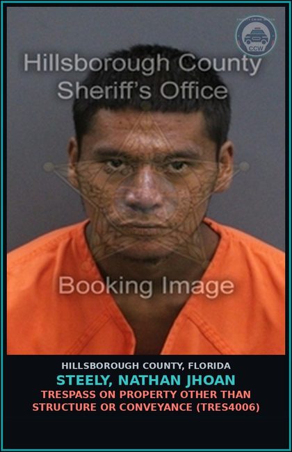 CCW arrest card for STEELY, NATHAN JHOAN in Hillsborough County: TRESPASS ON PROPERTY OTHER THAN STRUCTURE OR CONVEYANCE (TRES4006)