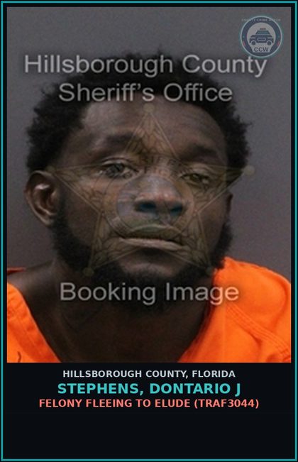 CCW arrest card for STEPHENS, DONTARIO J in Hillsborough County: FELONY FLEEING TO ELUDE (TRAF3044)
