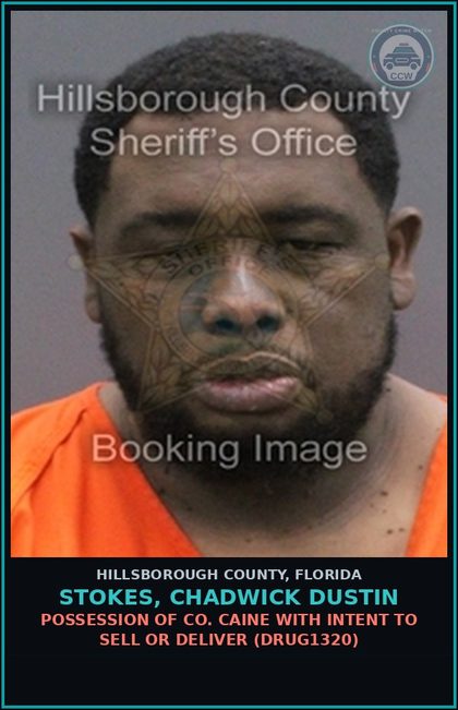 CCW arrest card for STOKES, CHADWICK DUSTIN in Hillsborough County: POSSESSION OF COCAINE WITH INTENT TO SELL OR DELIVER (DRUG1320)