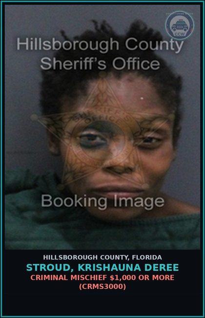 CCW arrest card for STROUD, KRISHAUNA DEREE in Hillsborough County: CRIMINAL MISCHIEF $1,000 OR MORE (CRMS3000)