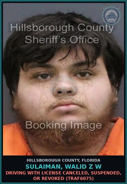 CCW arrest card for SULAIMAN, WALID Z W in Hillsborough County: DRIVING WITH LICENSE CANCELED, SUSPENDED, OR REVOKED (TRAF6075)