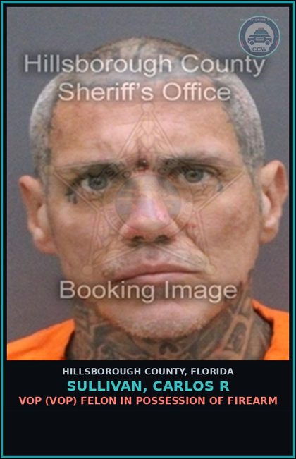CCW arrest card for SULLIVAN, CARLOS R in Hillsborough County: VOP (VOP) FELON IN POSSESSION OF FIREARM