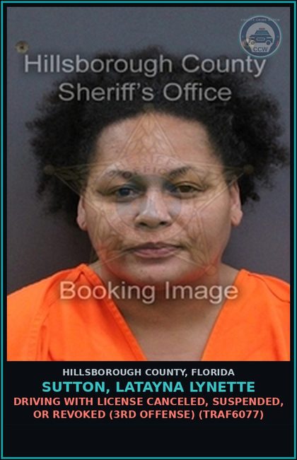 CCW arrest card for SUTTON, LATAYNA LYNETTE in Hillsborough County: DRIVING WITH LICENSE CANCELED, SUSPENDED, OR REVOKED (3RD OFFENSE) (TRAF6077)