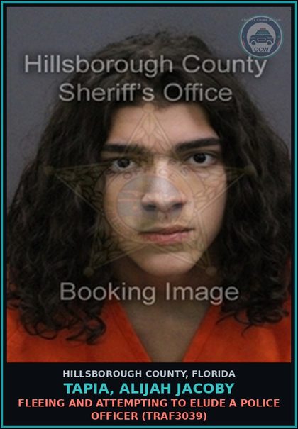 CCW arrest card for TAPIA, ALIJAH JACOBY in Hillsborough County: FLEEING AND ATTEMPTING TO ELUDE A POLICE OFFICER (TRAF3039)